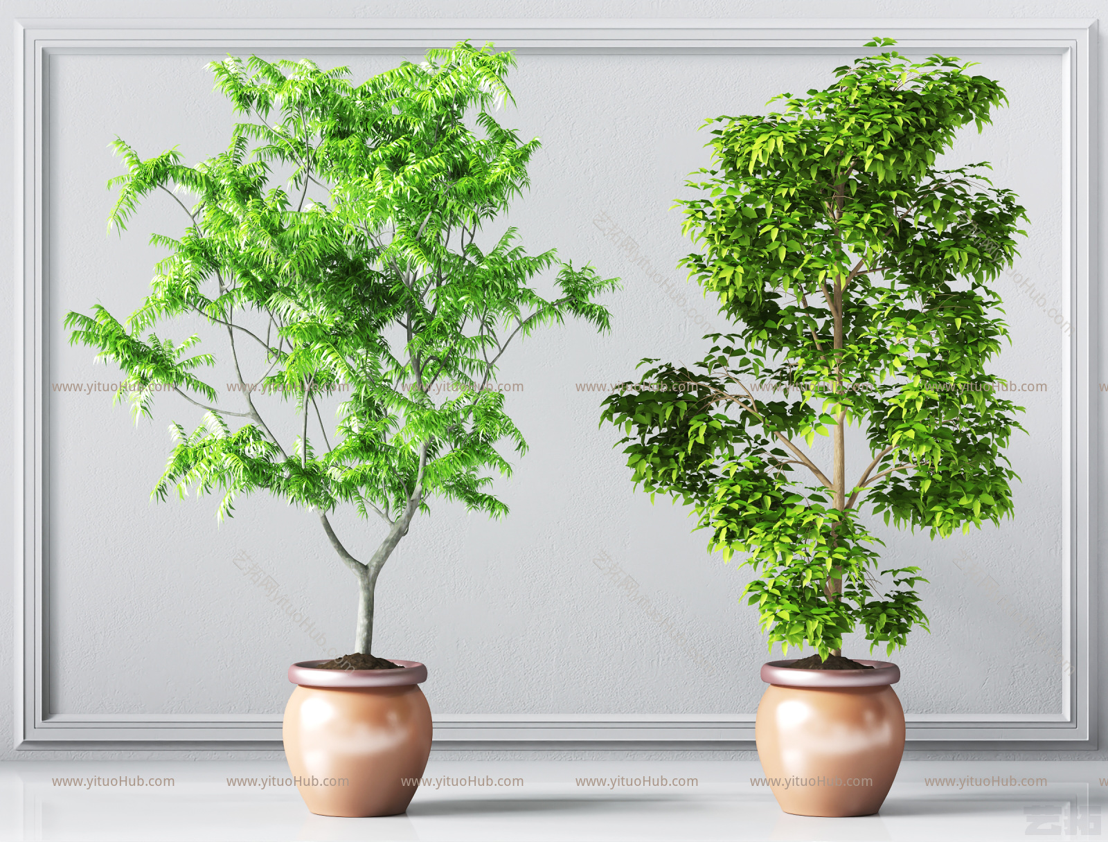 现代植物盆栽组合 植物摆件组合 花盆 绿叶盆栽