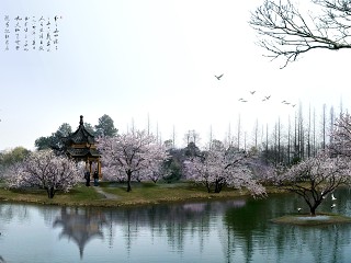 滨水湿地公园景观效果图