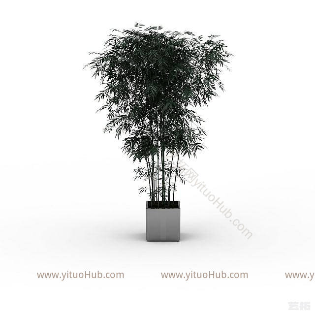 现代绿色室内植物模型