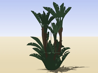 热带植物花模型