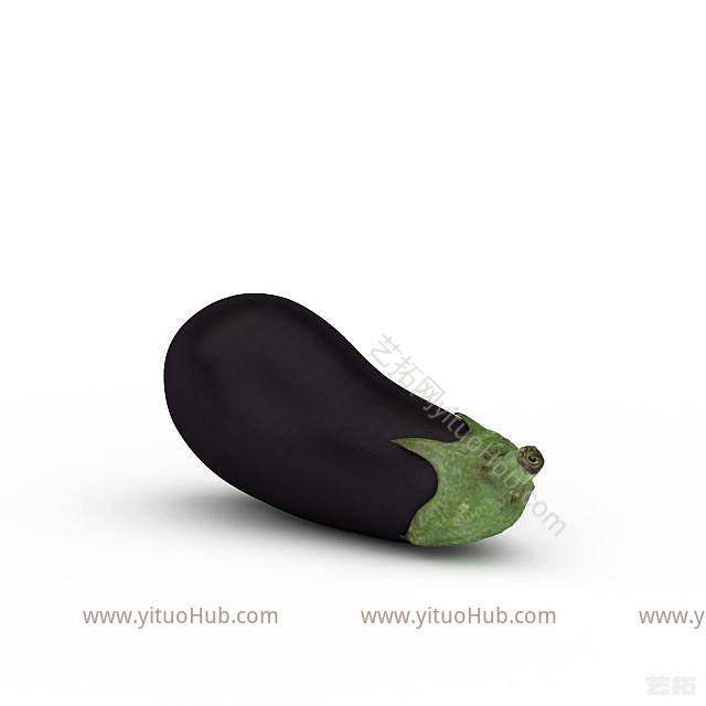 现代紫茄子模型